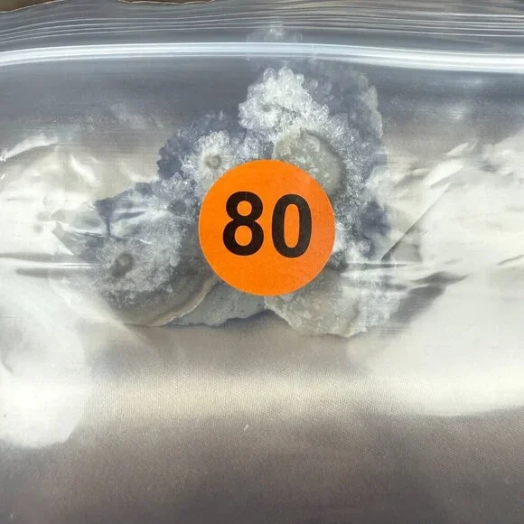 Handmade Copper Wire Wrapped Blue Chrysocolla Raw Stone Pendant Necklace Jewelry - Picture 3 of 3